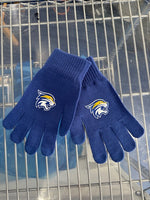 DCA Blue Gloves
